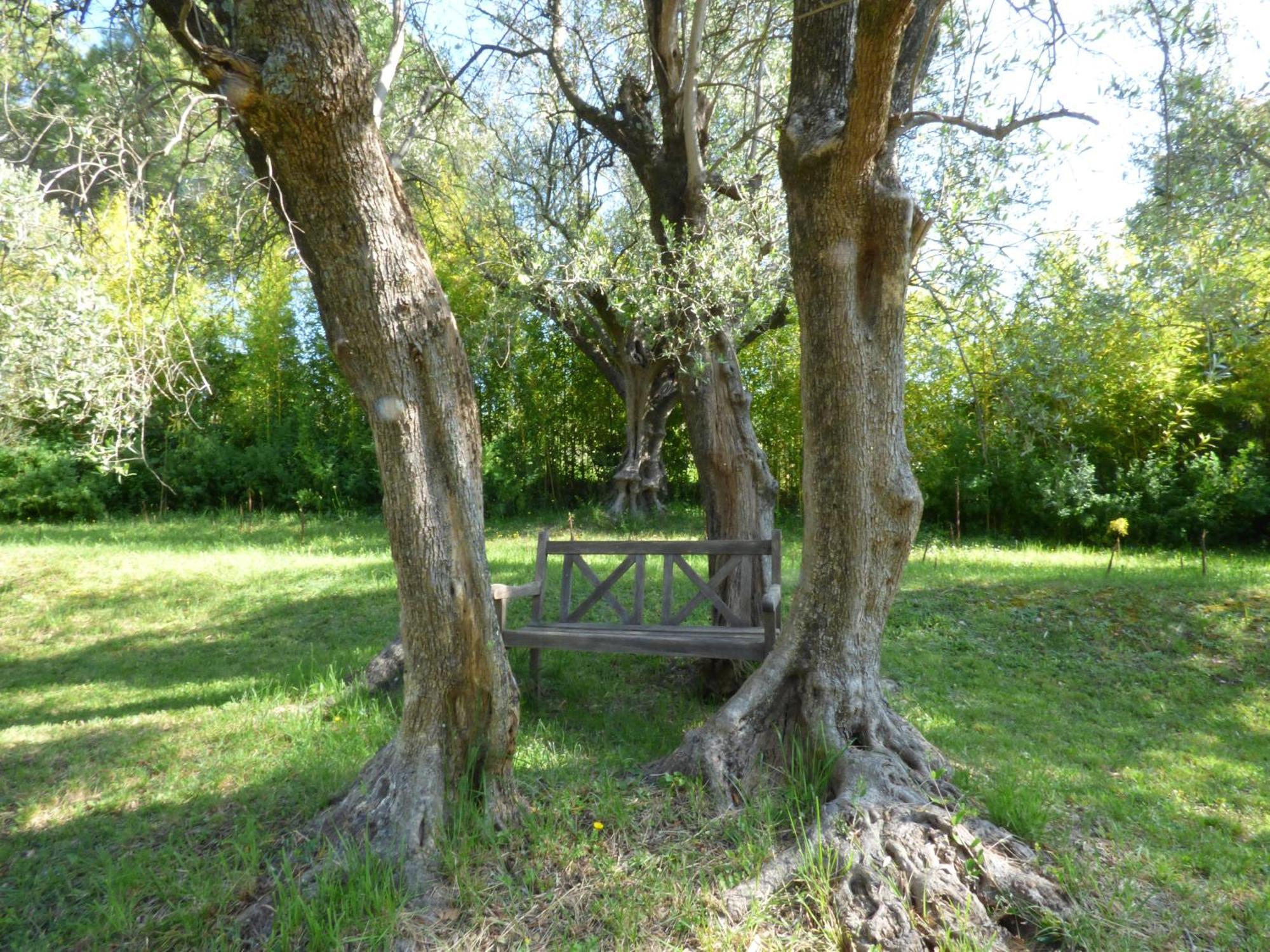 Apartment Cezanne With Heated Pool And Private Garden Chateauneuf-Grasse 외부 사진
