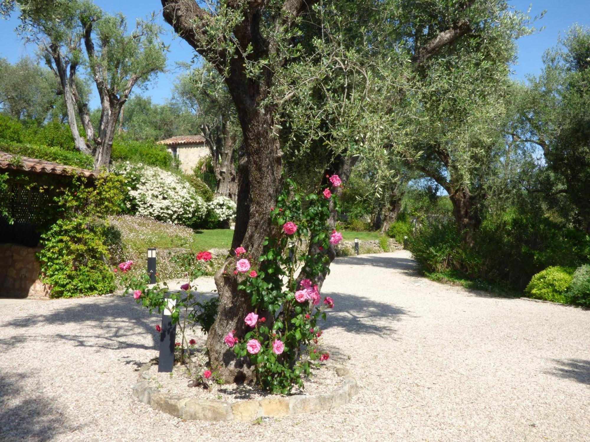 Apartment Cezanne With Heated Pool And Private Garden Chateauneuf-Grasse 외부 사진