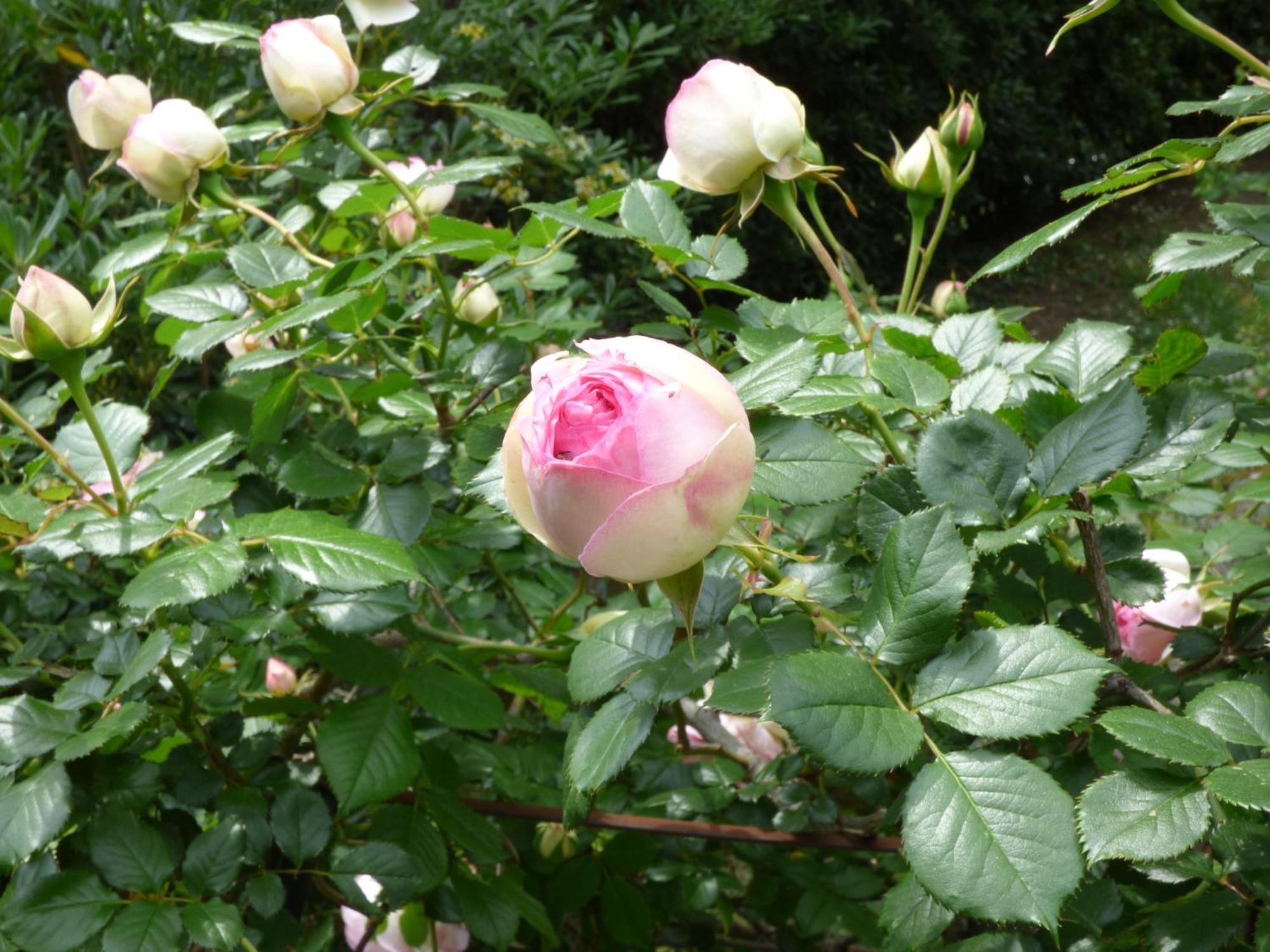 Apartment Cezanne With Heated Pool And Private Garden Chateauneuf-Grasse 외부 사진