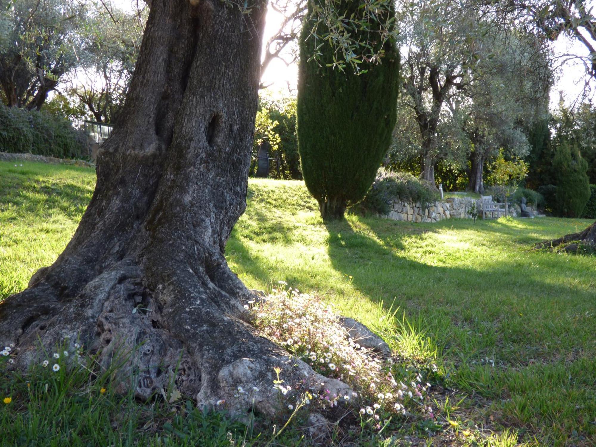 Apartment Cezanne With Heated Pool And Private Garden Chateauneuf-Grasse 외부 사진